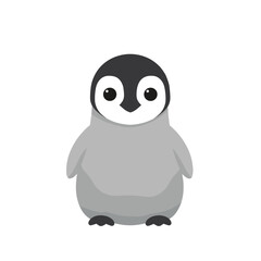 Cute cartoon penguin character wearing a cozy sweater against a simple background