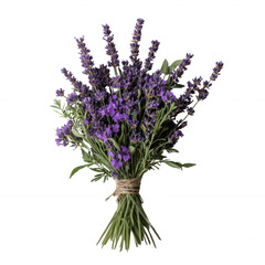 Obraz premium Bouquet of fresh lavender flowers tied with twine, showcasing vibrant purple blooms and green stems, evokes sense of calm and natural beauty