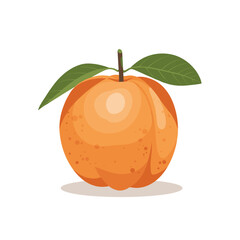 A vibrant orange peach with green leaves on a white background, ideal for food-related content
