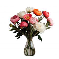 Obraz premium Vibrant bouquet of peonies in various colors, including pink, white, and orange, is elegantly arranged in clear glass vase. flowers are in full bloom, showcasing their lush petals
