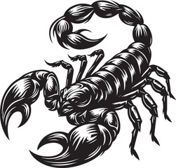 Black and White Scorpion Vector Illustration – Aggressive Insect Tattoo Design	
