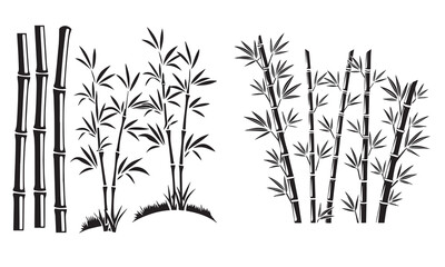 Bamboo set vector