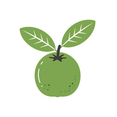 Fresh green olive with leaves on a white background, symbolizing nature and health