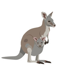 A mother kangaroo and her joey standing together in a serene, natural setting