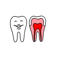 笑顔の健康な歯イメージ