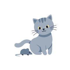 Cute gray cat with playful expression sitting against a white background