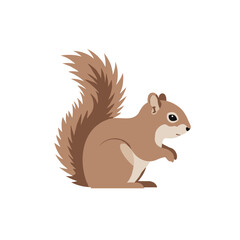 Playful squirrel with bushy tail in a bright, minimalistic setting