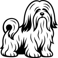 Lhasa Apso.eps