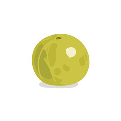 A vibrant green apple resting on a plain white surface, showcasing its glossy texture