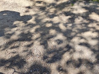 Shadow of a leafy tree and a pedestrian on a gravel road