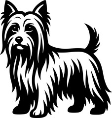 Silky Terrier.eps
