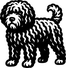 Spanish Water Dog.eps