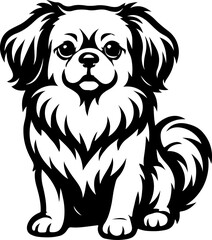 Tibetan Spaniel.eps
