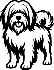 Tibetan Terrier.eps