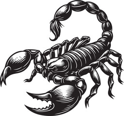 Black and White Scorpion Vector Illustration – Aggressive Insect Tattoo Design	
