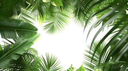 Green frame of tropical palm leaves surrounds a bright white background