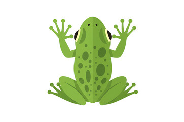 Vibrant Green Frog Illustration Back View Amphibian Nature Wildlife Cartoon Animal Design Element