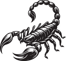 Black and White Scorpion Vector Illustration – Aggressive Insect Tattoo Design	
