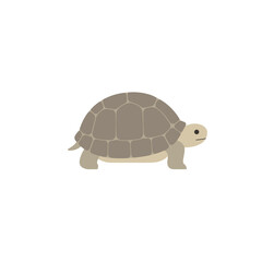 A cartoon tortoise slowly moving across a white background with a peaceful demeanor