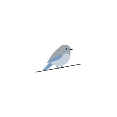 A serene bluebird perched on a delicate branch against a minimalistic background