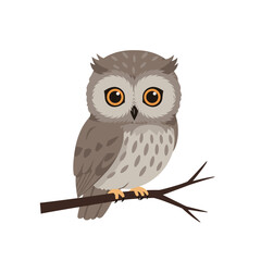 Cute cartoon owl perched on a branch, showcasing big eyes and detailed feathers
