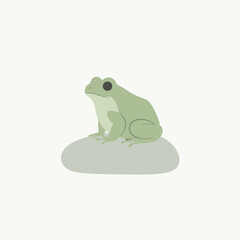 A serene green frog perched on a smooth stone, surrounded by a minimalist background