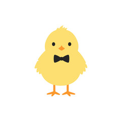 Cute yellow chick wearing a bow tie, standing against a plain white background