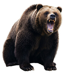 Fototapeta premium Grizzly Bear: Powerful Wildlife Photography