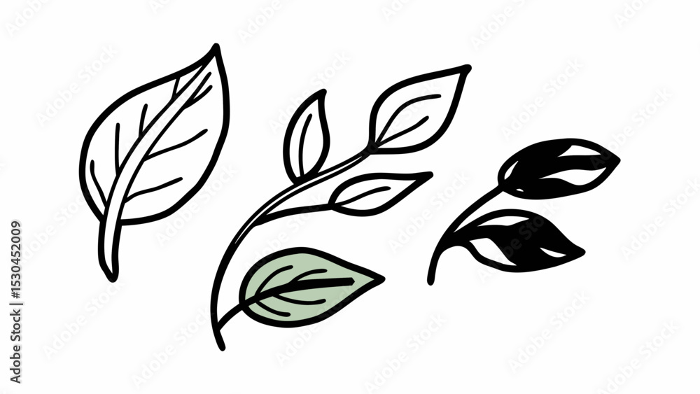 Poster illustration of three leaf arrangements with different styles and color variations on a white backgr