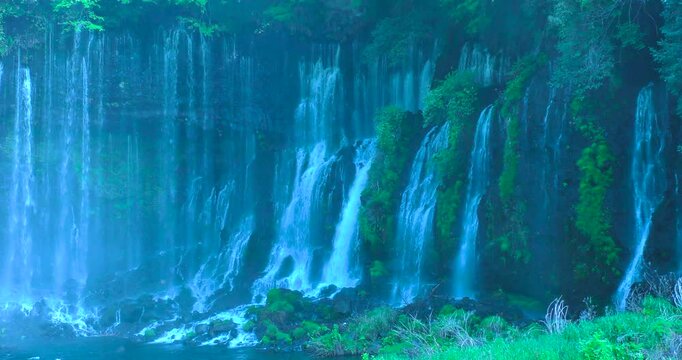 崖を流れるダイナミックな滝 白糸の滝 静岡県