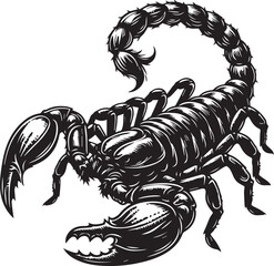 Black and White Scorpion Vector Illustration &ndash; Aggressive Insect Tattoo Design	
