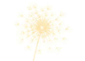 Naklejka premium bright sparkler light display isolated on white background PNG