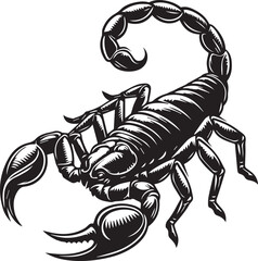 Black and White Scorpion Vector Illustration – Aggressive Insect Tattoo Design	

