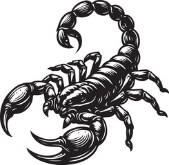 Black and White Scorpion Vector Illustration – Aggressive Insect Tattoo Design	
