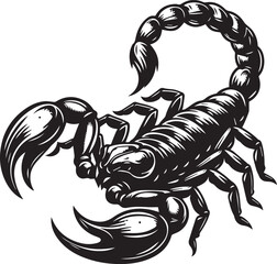 Black and White Scorpion Vector Illustration – Aggressive Insect Tattoo Design	
