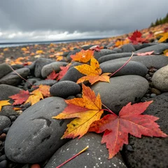 Selbstklebende Fototapeten Autumnal Leaves on Rocky Shoreline: A captivating scene showcasing vibrant autumn leaves scattered among smooth, dark stones along a shoreline under a moody, overcast sky. © Nuclears