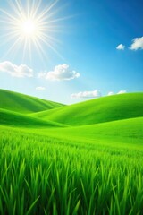 Obraz premium A vibrant green grassy field stretches out under a bright summer sky, perfect for an outdoor theatrical performance Ideal for theater, event, and nature backgrounds , meadow, background, sky