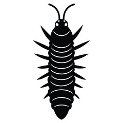 silkworm vector