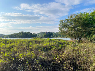 landscape with blue sky