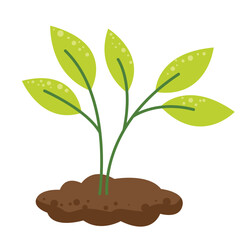 Young Plant Growing in Soil Illustration