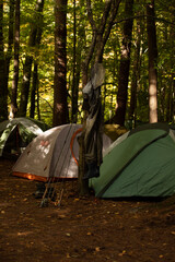 Tents and fishing gear in the woods