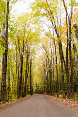 Fall Foliage road in the Keweenaw Peninsula