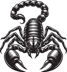 Black and White Scorpion Vector Illustration – Aggressive Insect Tattoo Design	
