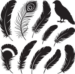 Obraz premium Bird Feather Silhouette Bundle – 10 Black Vector Feathers – Eagle, Peacock, Owl, Parrot, Songbird, Quill, Fan-Shaped and More