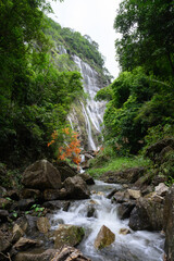 Natural scenery of streams and waterfalls in the mountains and forests