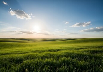 Fototapeta premium Green grass field at sunset with blue sky and clouds
