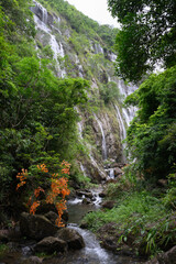 Natural scenery of streams and waterfalls in the mountains and forests