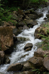 The stream in the mountains
