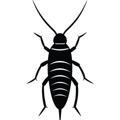 silverfish veector