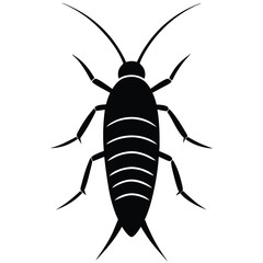 Fototapeta premium silverfish veector